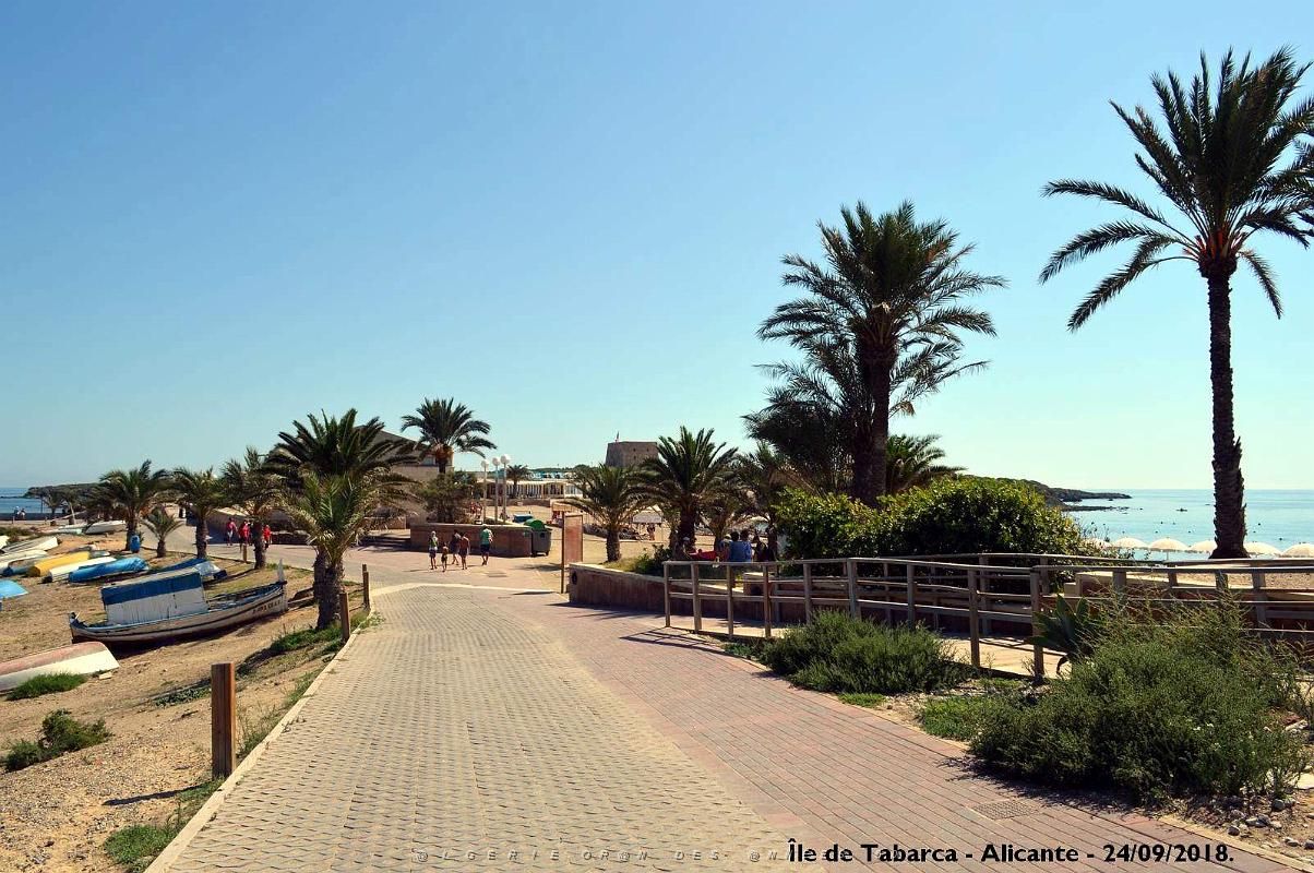 21 ALICANTE L ILE DE TABARCA (173).JPG